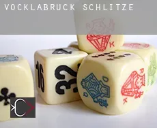 Politischer Bezirk Vöcklabruck  Schlitze