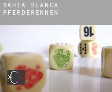 Partido de Bahía Blanca  Pferderennen