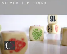 Silver Tip  Bingo