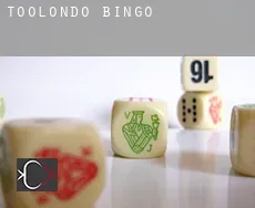 Toolondo  Bingo