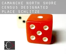 Camanche North Shore  Schlitze