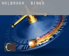 Holbrook  Bingo