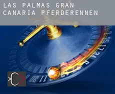 Las Palmas de Gran Canaria Pferderennen