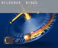 Wildgrub  Bingo