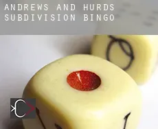 Andrews and Hurds Subdivision  Bingo