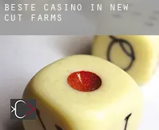Beste Casino in New Cut Farms