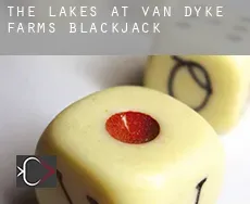 The Lakes at Van Dyke Farms  Blackjack