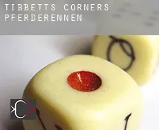Tibbetts Corners Pferderennen