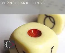 Vozmediano  Bingo