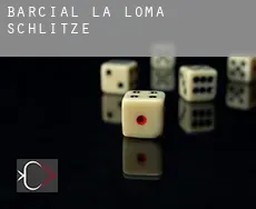 Barcial de la Loma  Schlitze