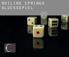 Boiling Springs  Glücksspiel
