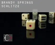 Brandy Springs  Schlitze