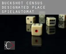 Buckshot  Spielautomat