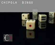 Chipola  Bingo