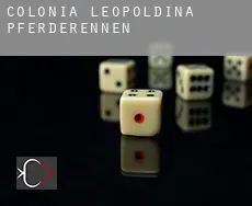 Colônia Leopoldina  Pferderennen