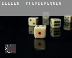 Deelen Pferderennen