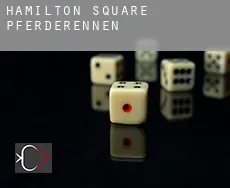 Hamilton Square  Pferderennen