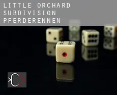 Little Orchard Subdivision Pferderennen