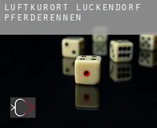 Luftkurort Lückendorf  Pferderennen