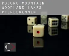 Pocono Mountain Woodland Lakes Pferderennen