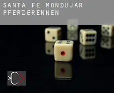 Santa Fe de Mondújar  Pferderennen