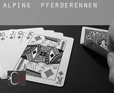 Alpine  Pferderennen