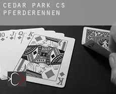 Cedar Park (census area)  Pferderennen