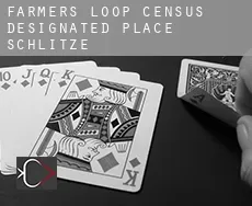 Farmers Loop  Schlitze