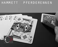 Hammett  Pferderennen