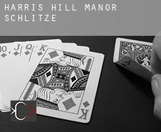 Harris Hill Manor  Schlitze
