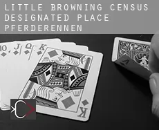 Little Browning  Pferderennen