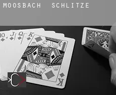 Moosbach  Schlitze