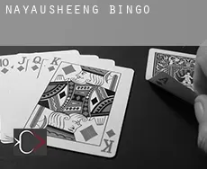 Nayausheeng  Bingo