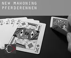 New Mahoning  Pferderennen