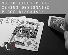 North Light Plant  Blackjack