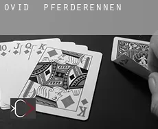 Ovid Pferderennen