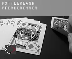 Pottlereagh  Pferderennen