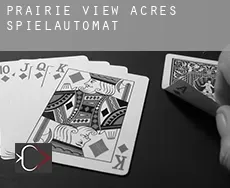 Prairie View Acres  Spielautomat