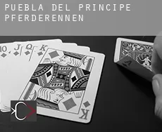 Puebla del Príncipe  Pferderennen