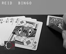 Reid  Bingo