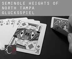 Seminole Heights of North Tampa Glücksspiel