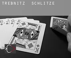 Trebnitz  Schlitze