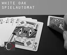White Oak  Spielautomat