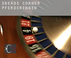 Sneads Corner  Pferderennen