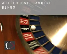 Whitehouse Landing  Bingo