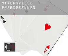 Mixersville  Pferderennen