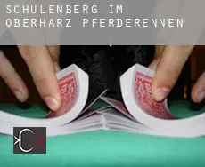 Schulenberg im Oberharz  Pferderennen