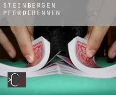 Steinbergen Pferderennen