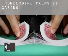 Thunderbird Palms II  Casino