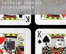 Chipola Terrace  Pferderennen